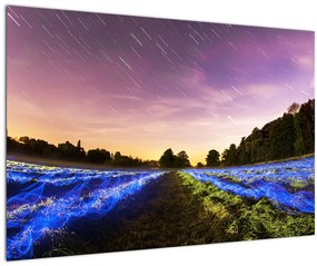 Tablou cu câmp colorat (90x60 cm)