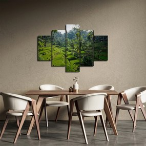 Tablou cu terasele cu orez Tegalalang, Bali (150x105 cm)