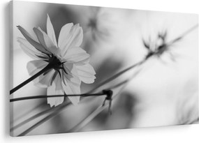 Tablou - Flori alb-negru (90x60 cm)