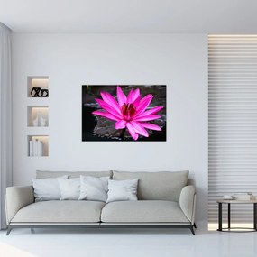 Tablou - floarea roz (90x60 cm)