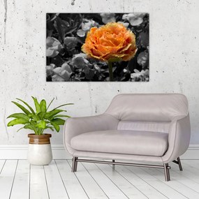 Tablou cu floare (90x60 cm)