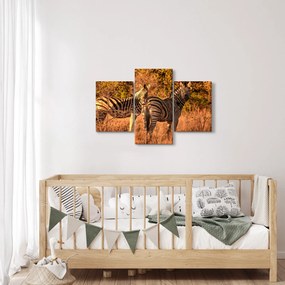 Tablou cu zebre (90x60 cm)