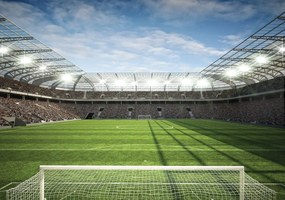 Fototapet - Stadion (254x184 cm)