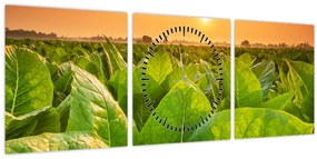 Tablou - Câmp (cu ceas) (90x30 cm)