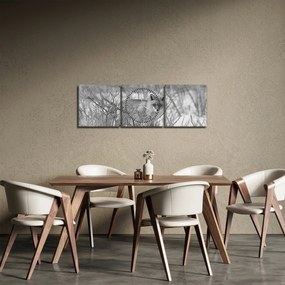 Tablou - Vulpe,alb-negru (cu ceas) (90x30 cm)