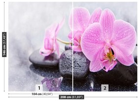 Fototapet Orchid Stones