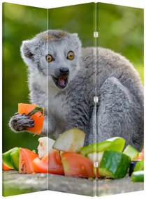 Paravan - Lemur (126x170 cm)