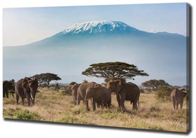 Tablou canvas Elefanți kilimanjaro
