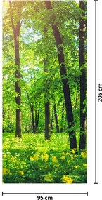 Fototapet pentru ușă - Pădure de foioase de primăvară (95x205cm)