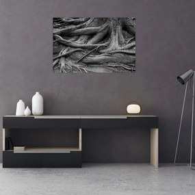Tablou - Rădăcinile copacului (90x60 cm)