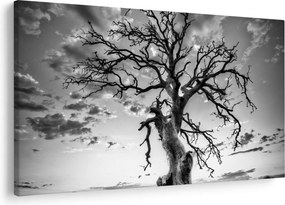 Tablou - Copacul, alb-negru (90x60 cm)