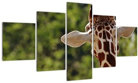 Tablou cu girafă din spate (125x70 cm), în 40 de alte dimensiuni noi