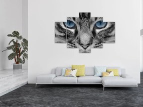 Tablou cu pisica (150x105 cm)