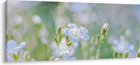 Tablou - Flori delicate (120x50 cm)