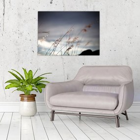 Tablou pe sticlă - Flori de luncă (70x50 cm)