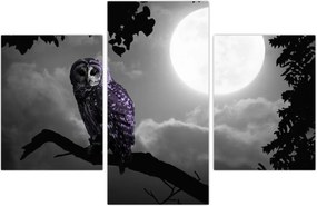 Tablou - Bufniță de noapte, bufniță mov (90x60 cm)