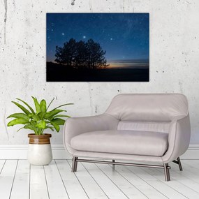 Tablou cu copaci noapte (90x60 cm)
