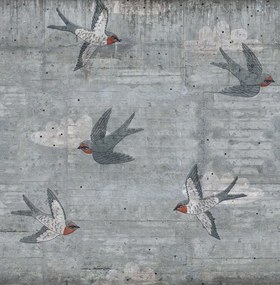 Fototapet, Concrete Art, Swallow, Rebel Walls