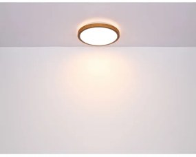Plafonieră LED SAMMI LED/24W/230V 3000/4500/6000K Globo 41766-24