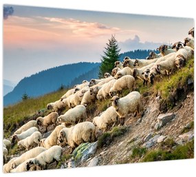 Tablou - O turmă de oi (70x50 cm)