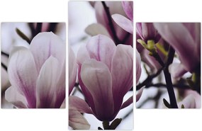 Tablou - Magnolie (90x60 cm)