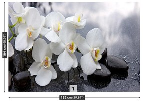 Fototapet Orchid Stones