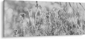 Tablou - Iarna rece (120x50 cm)