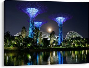 Tablou cu lună plină în grădinile din Singapur (70x50 cm)