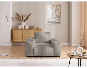 Fotoliu gri deschis cu tapițerie din catifea reiată Justin – Ropez