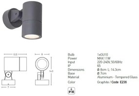 Spot directionabil pentru iluminat exterior, IP65 Jax grafit