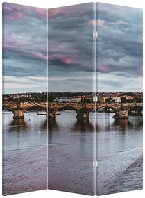 Paravan - Vltava (126x170 cm)
