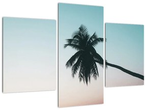 Tablou - Palmier la Bali (90x60 cm)