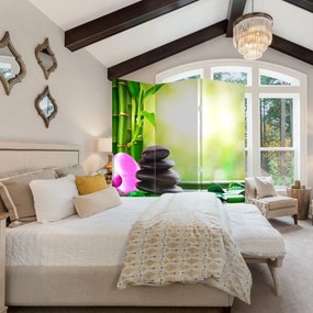 Paravan - Pietre pentru masaj și orhidee (126x170 cm)