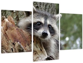 Tablou - Raton (90x60 cm)