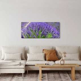 Tablou - lavanda (120x50 cm)