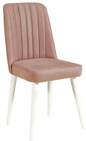 Scaun sufragerie Nitesu 1 (alb + Bej) . 1093088