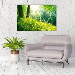 Tablou - Pajiște magică plină de păpădii (90x60 cm)