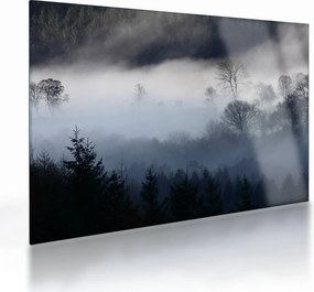 Tablou pe sticlă cu ceță deasupra pădurii (70x50 cm)