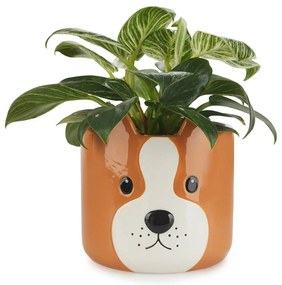 Ghiveci din ceramică ø 13,5 cm Woof – Balvi