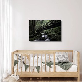 Tablou din pădurea neagră (90x60 cm)