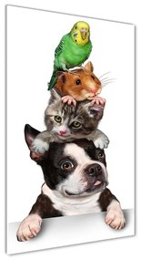 Tablou din Sticlă Animale de companie