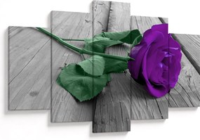Tablou - Trandafir violet cu tulpina verde (150x105 cm)