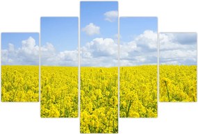 Tablou - Câmp galben (150x105 cm)