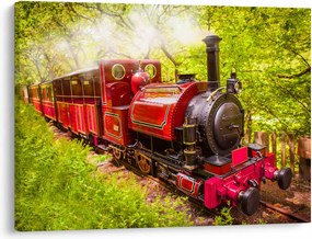 Tablou - Tren cu aburi (70x50 cm)