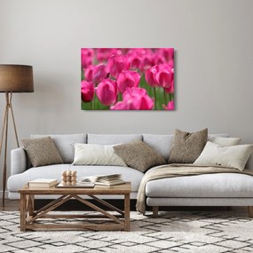 Tablou - Lalele roz (90x60 cm)