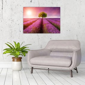 Tablou pe sticlă câmp cu lavandă (70x50 cm)