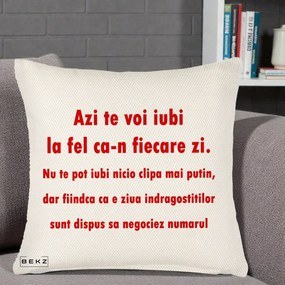 Cadou pentru Iubita - Perna Personalizata Azi Te Voi Iubi, 40x40 cm, Crem Reliefat, Husa Detasabila, Perna Inclusa, BEKZ®