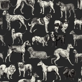 Fototapet, Dogs, Harlequin, Rebel Walls