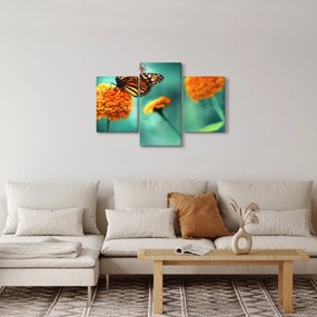 Tablou cu fluture (90x60 cm)