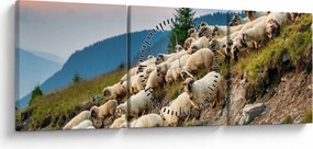 Tablou - O turmă de oi (cu ceas) (90x30 cm)